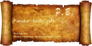 Pandur Brúnó névjegykártya